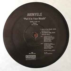 Akinyele - Put It In Your Mouth
