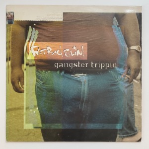 Fatboy Slim - Gangster Trippin