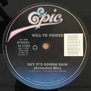 Will To Power - Say It&#039;s Gonna Rain