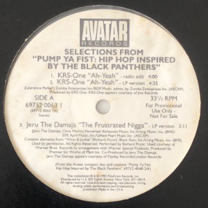 Various - Selections From &quot;Pump Ya Fist: Hip Hop Inspired By The Black Panthers&quot;