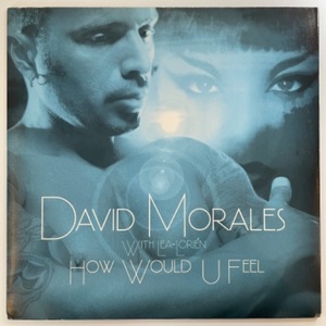 David Morales With Lea-Lorién - How Would U Feel