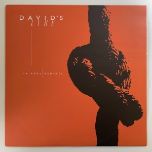 David&#039;s Lyre - In Arms Remixes