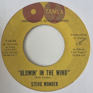 Stevie Wonder - Blowin&#039; In The Wind
