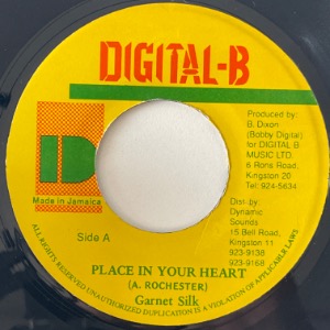 Garnett Silk - Place In Your Heart
